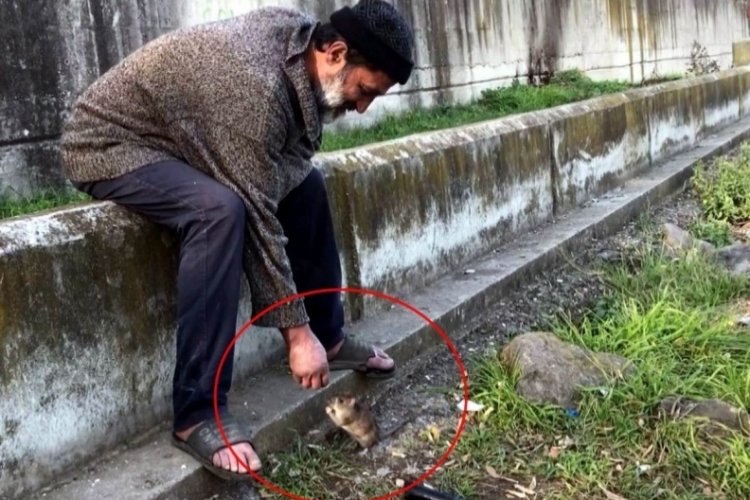 Farelerle olan dostluğuyla biliniyordu: Otobüs durağında ölü bulundu