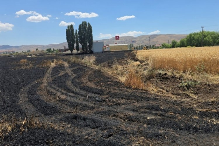 23 dönüm buğday, yanarak kül oldu