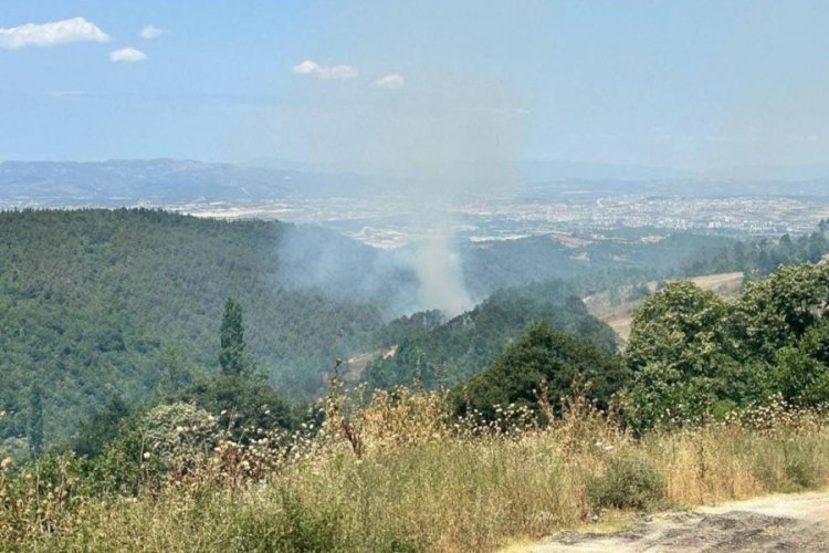 Alevler ormanı sardı! Bursa'da korkutan yangın