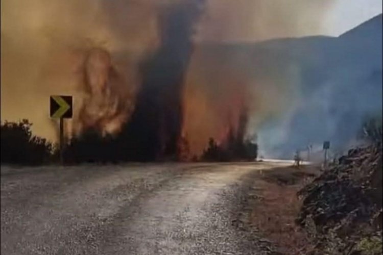 Bursa'nın sınırındaki orman yangını nedeniyle bir köy boşaltılıyor...