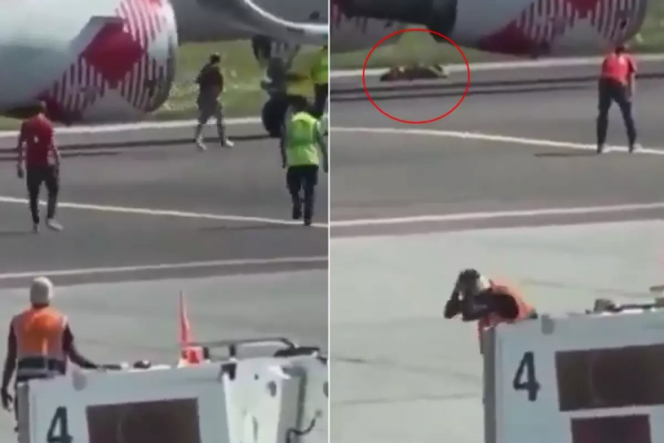  Uçağın motoruna atladı! Kalkış anında kan donduran olay