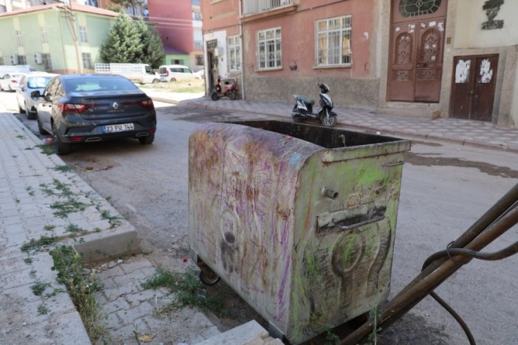 Çöpten gelen sese koştular, donakaldılar! Yeni doğmuş...