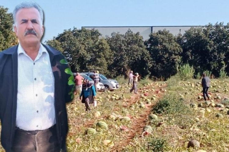 Sosyal medyadan çağrı yaptı! Bedava dağıttı