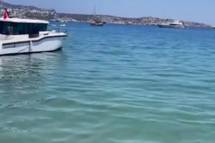 Ünlü oyuncu isyan etti! "Deniz idrar rengine dönüş!"