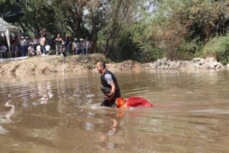 Neredeyse bin yıllık gelenek iptal edildi!