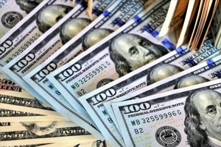 Halka açık satışla 600 milyon dolar topladı