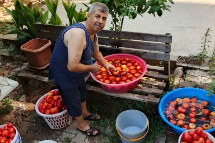 Salça yapım telaşı başladı