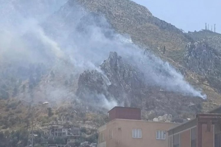 Hatay'da orman yangını: Müdahale sürüyor