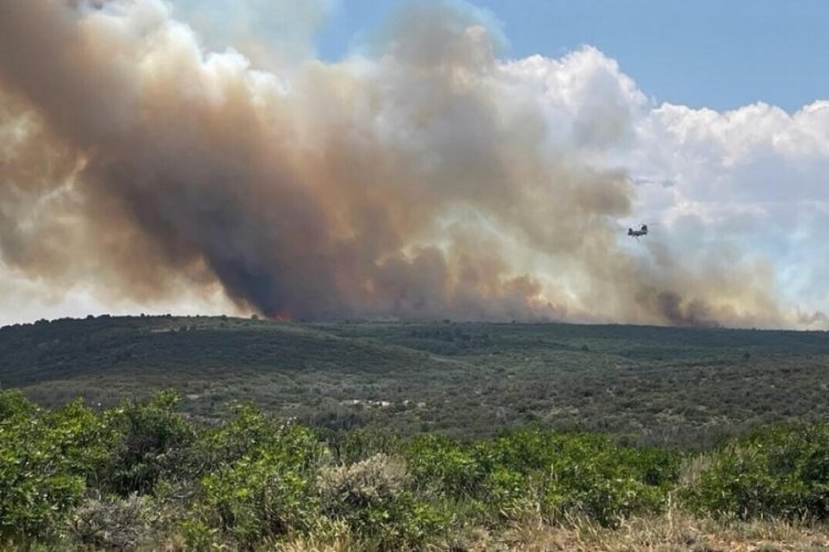 ABD'deki bir milli parkta çıkan orman yangını bir günde yaklaşık 20 kat büyüdü