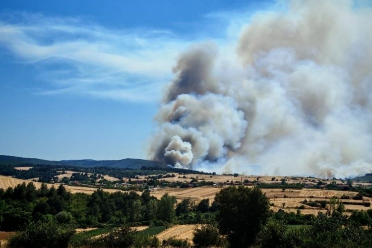 Edirne Keşan'da orman yangını