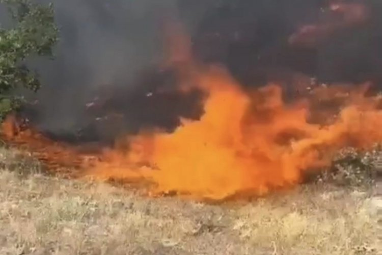 Tunceli'de otluk ve ormanlık alanda yangın