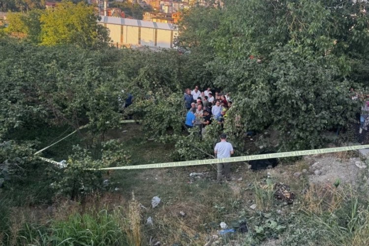 Zonguldak'ta kamyonet fındık bahçesine uçtu: Araçtan fırlayan sürücü öldü
