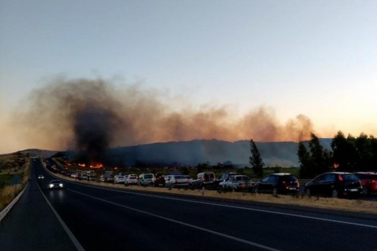 İzmir'de Urla ve Aliağa'da orman yangını! Alevler İzmir-Çanakkale yoluna kadar ulaştı