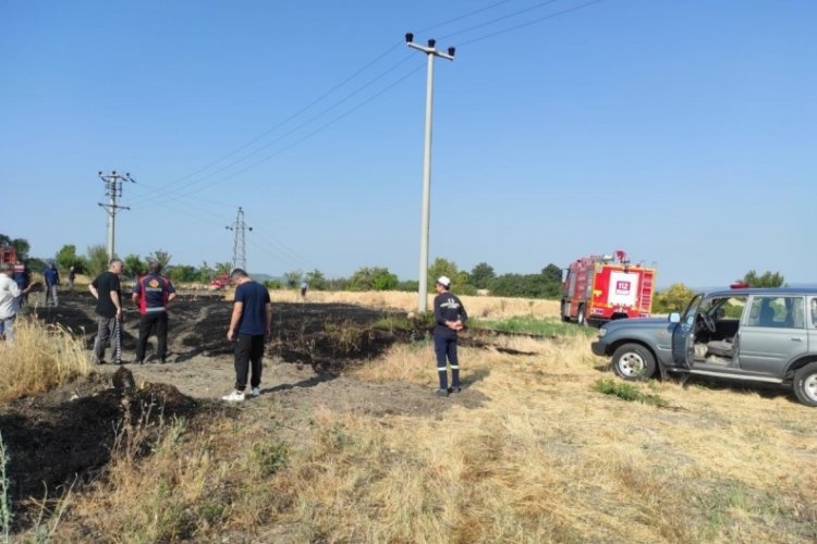 Elektrik akımına kapılan kuş yangına neden oldu