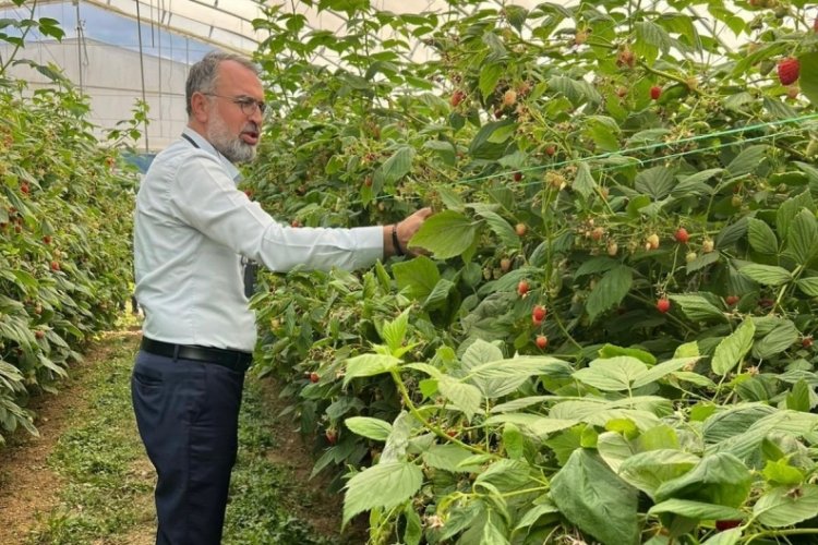 Bursa'da o alanda yeni dönem başlıyor