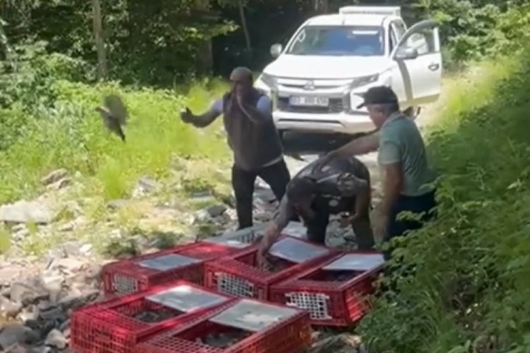Bursa'da kabus devam ediyor! Mücadele için doğaya yeni kahramanlar salındı