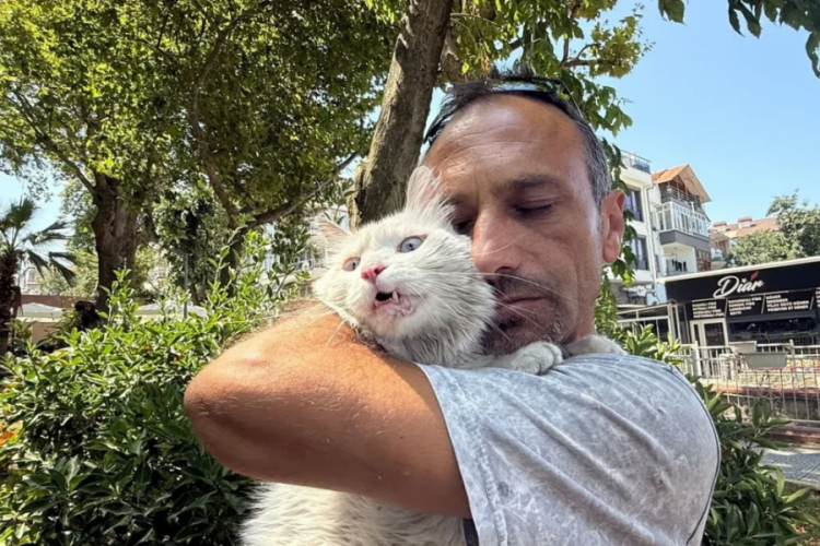 Kaybolan kedisinin ardından gözyaşlarına boğulmuştu! Bu kez mutluluktan ağladı