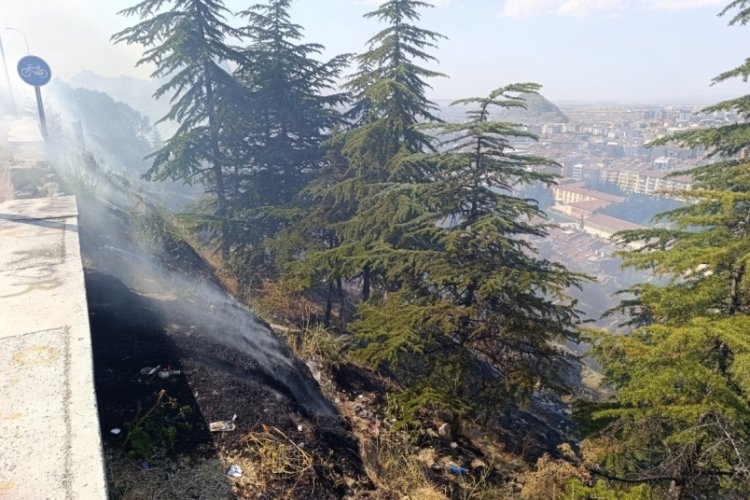 Ağaçlık alandaki yangın paniğe neden oldu