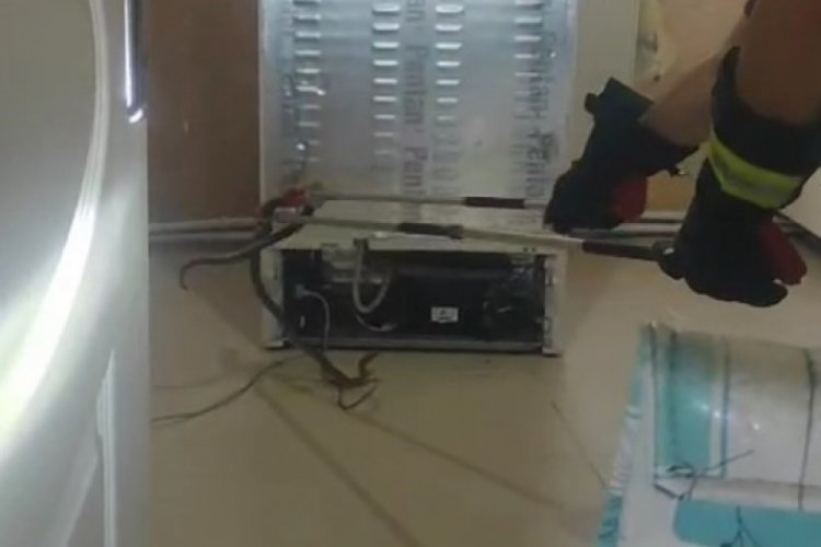 Buzdolabı motoruna giren yılanı itfaiye çıkardı