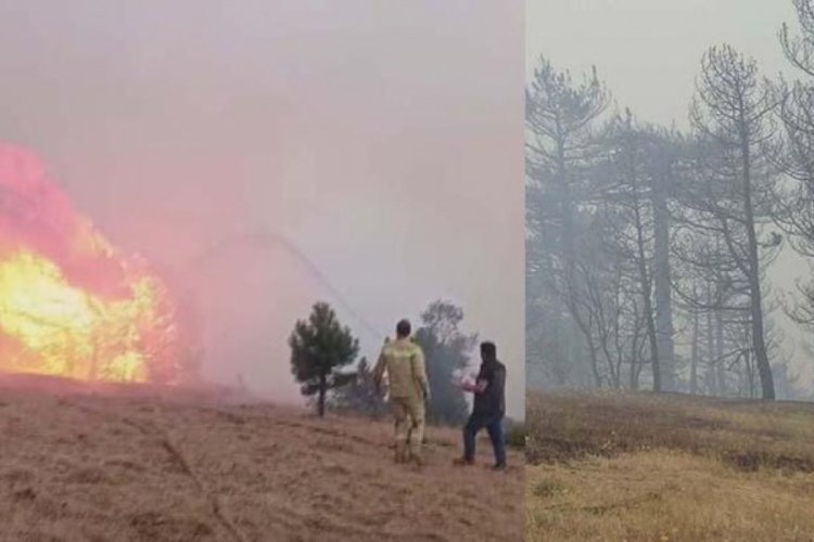 Konya'daki orman yangını 2'nci gününde
