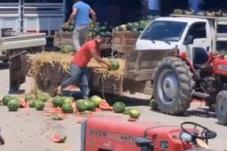 Karpuz parçalayan iki üretici yandı! Fahiş ceza yolda