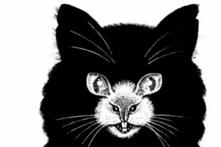 İlk ne gördünüz: Kedi mi, fare mi? Bakın ne anlama geliyor...