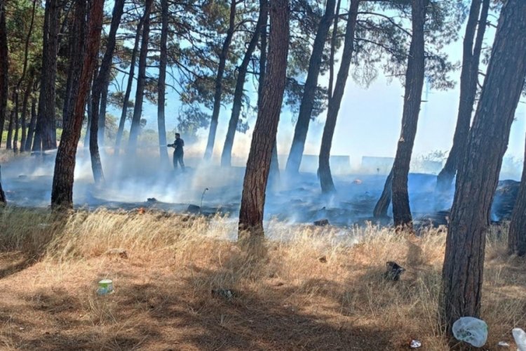 Bursa'da erken müdahale çok şey kurtardı!