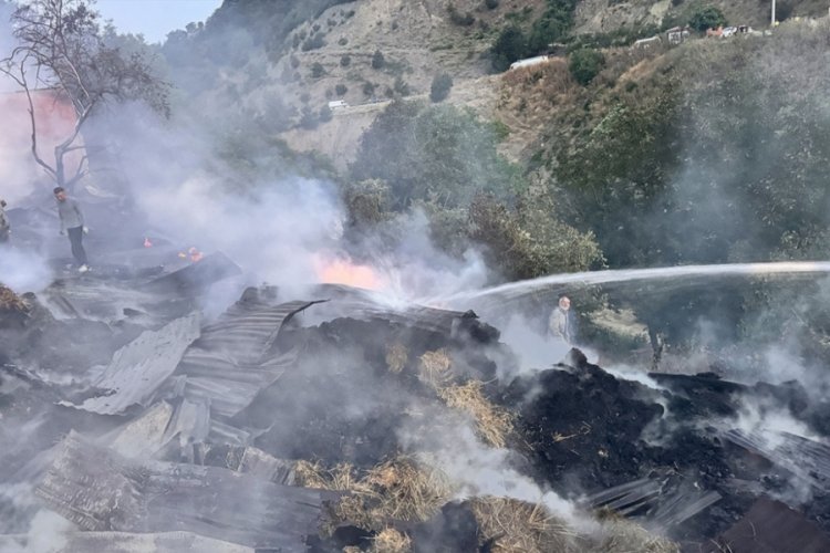 Bolu'nun Mudurnu ilçesinde çıkan yangın kontrol altına alındı