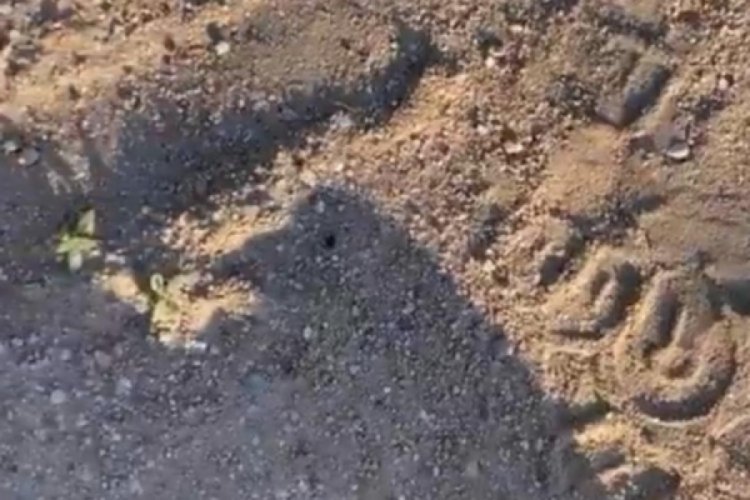Vakalar artıyor! Bu kez bambaşka yerde: Panik yapmayın