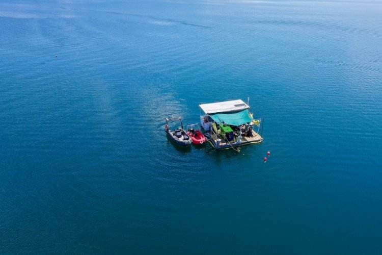 Sapanca Gölü'nün su kalitesi koruma altına alınıyor