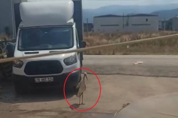 Bursa'da sıcaktan bunaldı! Bakın nasıl serinletti...