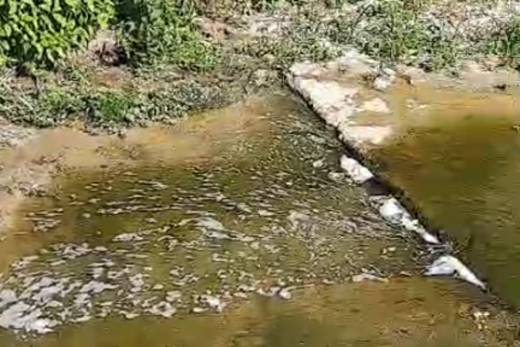 Bursa'daki o dere tehlike saçıyor