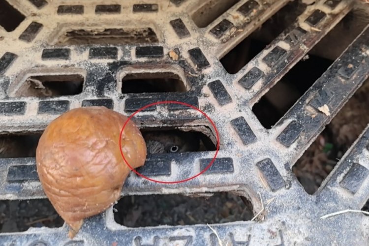 Bursa'da sıkıştı kaldı, yardımına itfaiye koştu