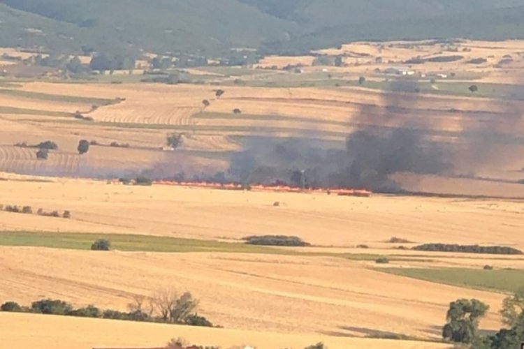 Malkara'da anız yangını: 200 dönüm buğday tarlası kül oldu
