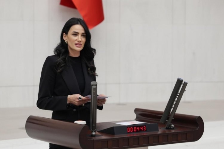 AK Parti Aydın Milletvekili Sarıbaş; Başarıyı gölgeleyemezsiniz, kronik önyargılarınızdan kurtulun