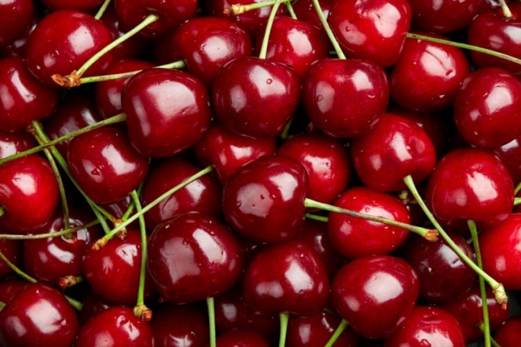Zirai don kirazı vurdu, geçen yıla göre 61 bin ton ihracat kaybı yaşandı