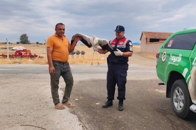 Sorgun'da bulunan yaralı leylek tedavi altına alındı