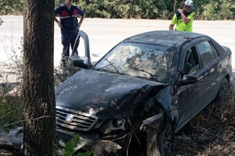Bursa'da yol kenarındaki ağaca çarptı! Yaralılar var