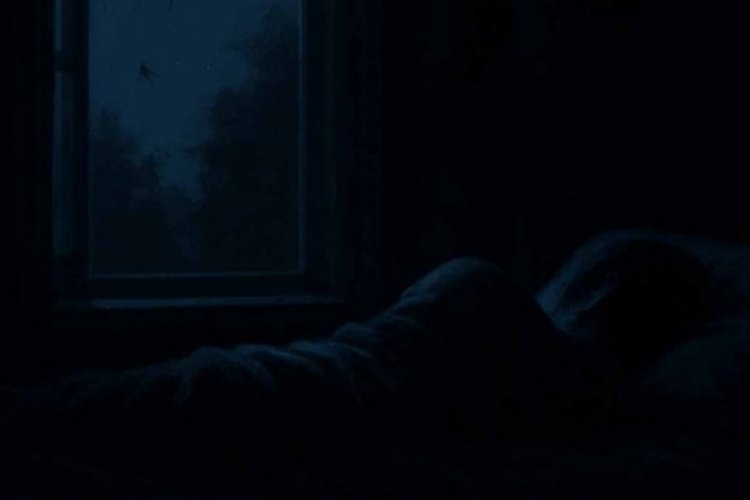 Gece pencere açık uyumayın!