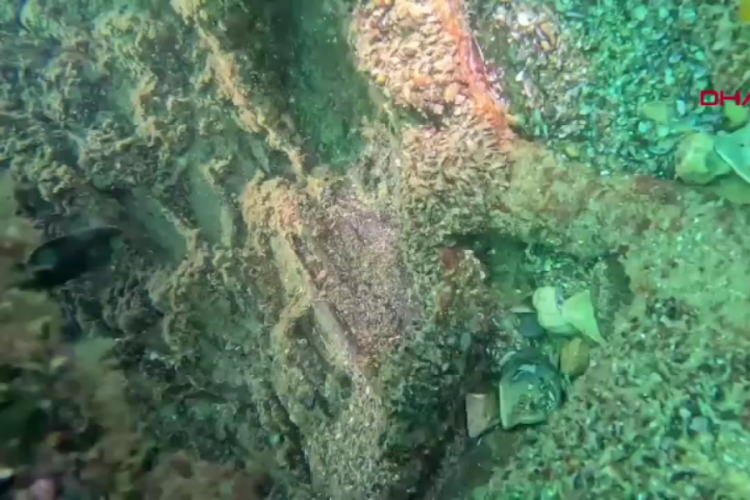 Ordu'da, denizde patlamış mayın bulundu