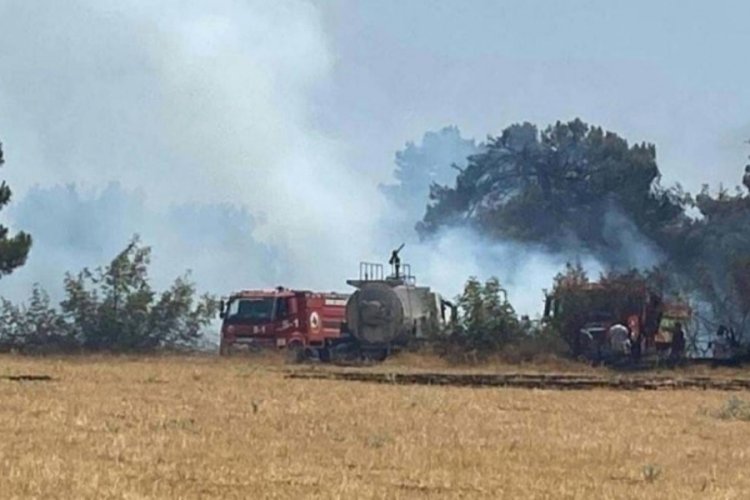 Çanakkale'de orman yangını kontrol altında