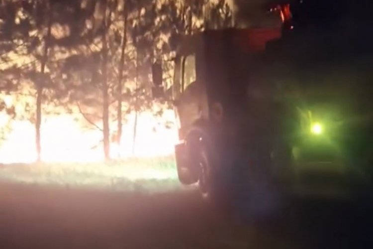 Bolu'da örtü yangını ormana sıçramadan söndürüldü