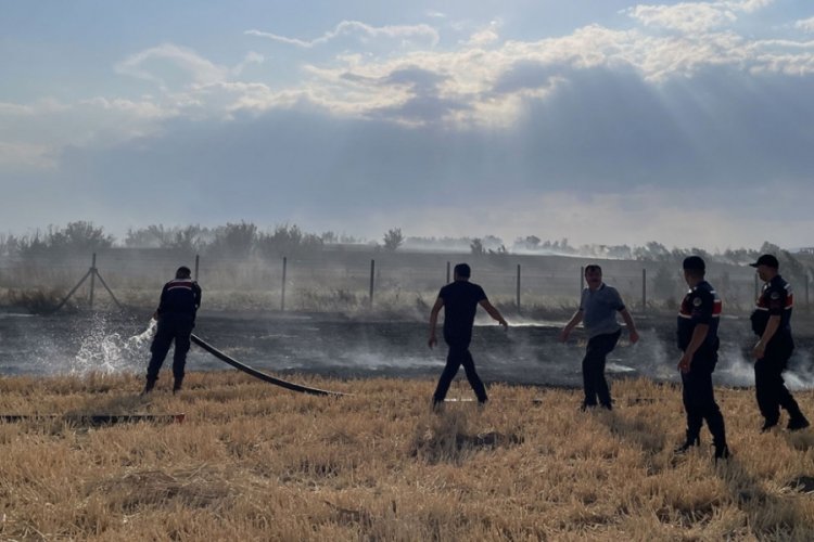 Çıkan yangında 250 dönüm tarım arazisi zarar gördü