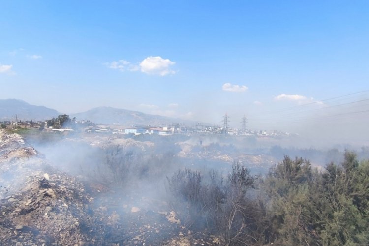 Kanal kenarında çıkan yangın rüzgarla geniş alana yayıldı