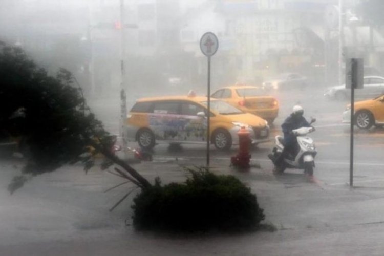 Tur teknesi alabora oldu: Çok sayıda ölü var