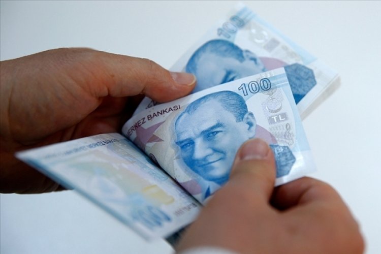 Bir eken on verim alıyor: Kazancını gören ev, araba satıp bu işe giriyor