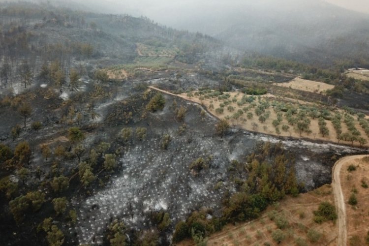 Sakarya'da yanan ormanlık alanlar görüntülendi