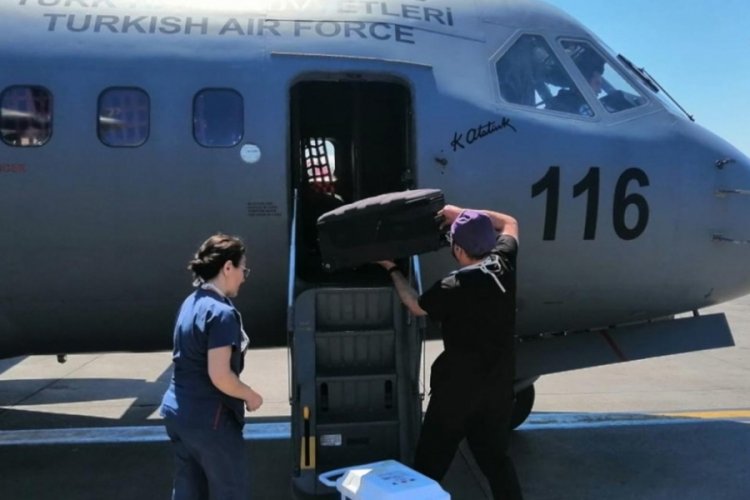 Hava Kuvvetleri uçağı, organ nakli için havalandı