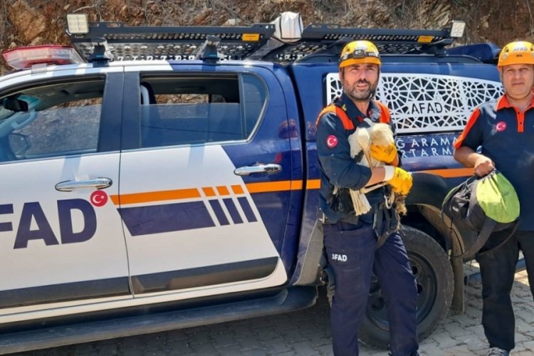 Ayağı kırılan leylek için seferber oldular