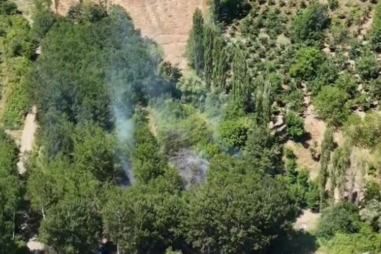 Bursa'da yangın! 30 dönüm alan zarar gördü